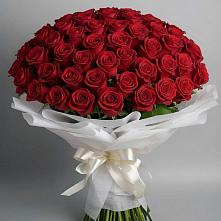 Букет 101 Красная роза Блэк Мэджик в Поречье