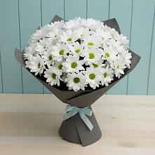 Букет цветов из:  Хризантемы в Поречье