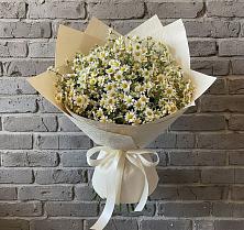 Букет цветов из:  Ромашки в Поречье