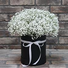 Цветочная композиция из Гипсофила в шляпной коробке в Поречье