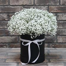Цветочная композиция из Гипсофила в шляпной коробке в Поречье