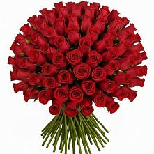 Букет Красные розы Чери Лав в Поречье